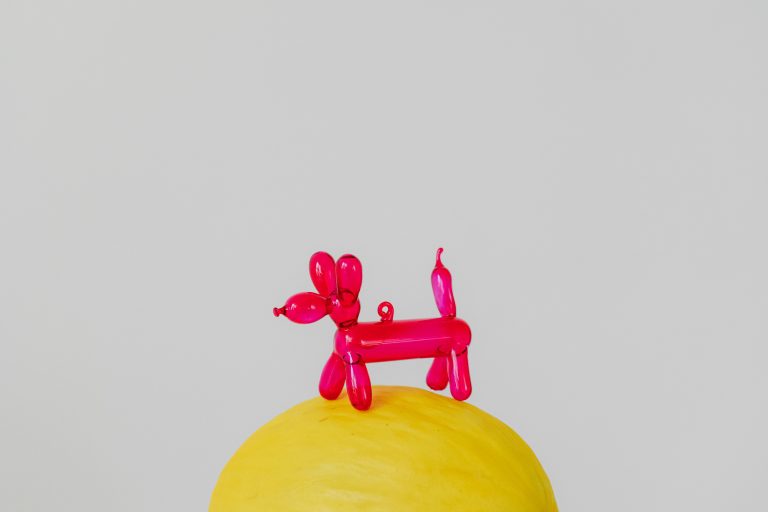 Sculpture de ballons 🎈